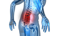 back pain in the lower back