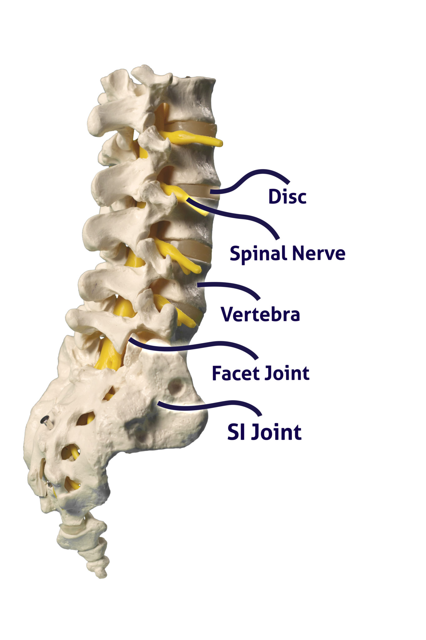 Geniculate knee block alabama pain physicians